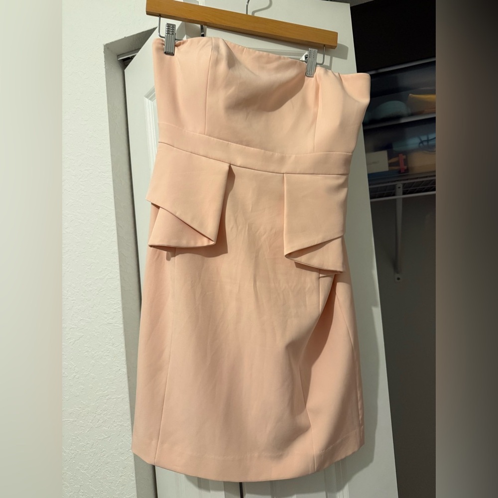 ANTONIO MELANI Strapless Blush Dress